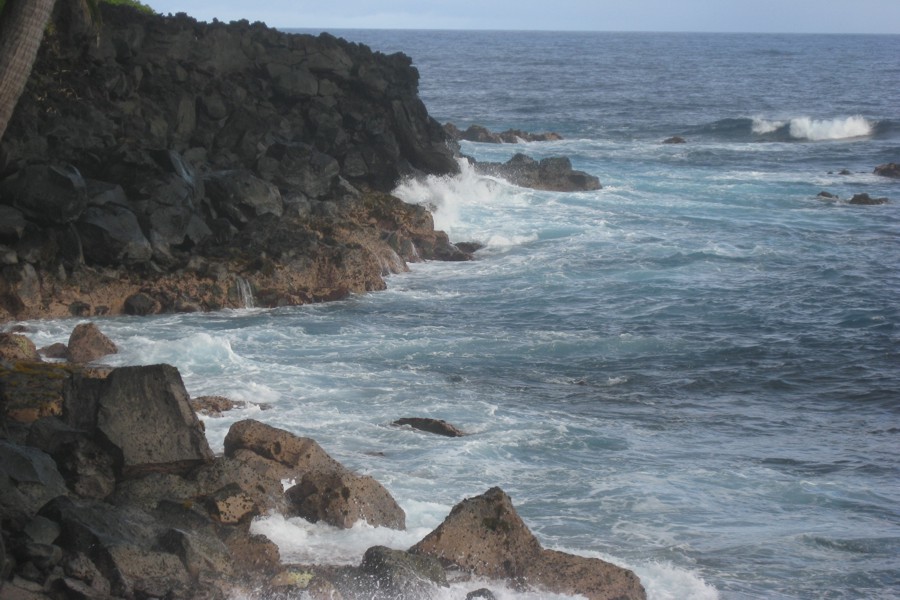 ../image/pretty shoreline near puna  3.jpg
